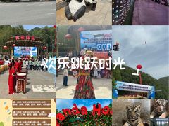 -栾川竹海野生动物园
