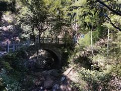 -东天目山风景区