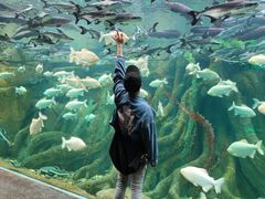 -哈尔滨波塞冬海底世界