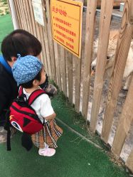 -萌宠亲子动物乐园(槐房万达店)