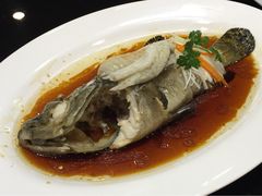 -君思港湾(富强店)