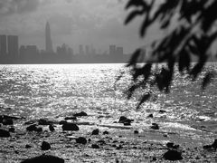 -深圳湾公园(南山区)