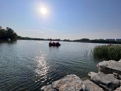 -大兴滨河森林公园