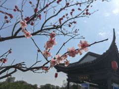 -葛仙湖公园