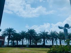 -荣誉海鲜酒楼(海湾店)
