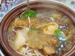 -大中鱼翅 Taitong Shark Fin