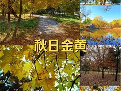 -北陵公园