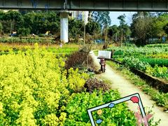 -白鹭湾湿地公园