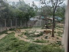 -西安秦岭野生动物园