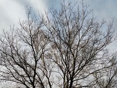 -南京市江宁方山