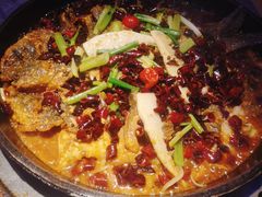 -老板恋上鱼(恒隆广场店)