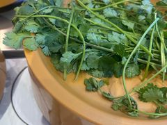 -龍歌自助小火锅(奎文万达店)