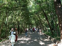-灵谷景区