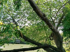 -金稼园·金平湖农家菜
