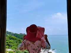 -广东惠东海龟国家级自然保护区