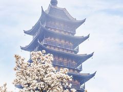 -常熟方塔园