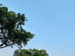 -东莞植物园