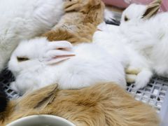 -三旗百汇商品城