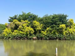 -大湾区中央湿地公园