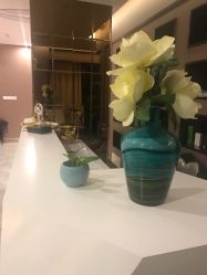 -佐登妮丝美容SPA生活馆