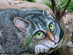 -黑龙潭风景区
