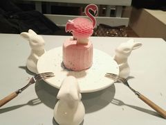 火烈鸟-随心小姐