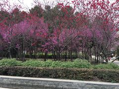 -巴西烤肉海鲜自助餐厅