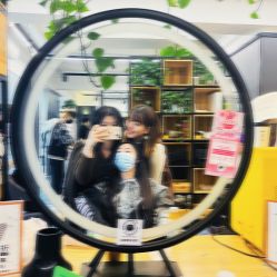-藤野造型
