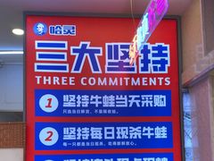-哈灵现炒本帮面(宁波路店)