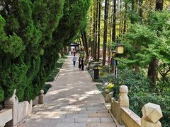 -上海醉白池公园