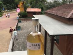 -椿风·养身茶饮(吉大店)