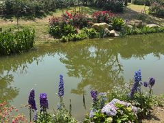 -人民公园(罗湖区)