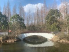 -东平国家森林公园