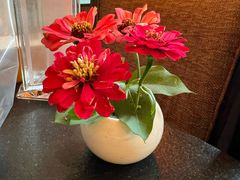 -羡餐厅-千岛湖自由洲际殿