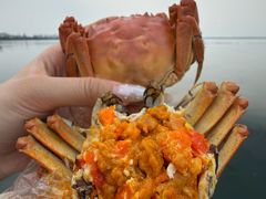 -品鲜村农家菜·阳澄湖大闸蟹(总店)