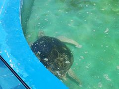 -北戴河圣蓝海洋公园