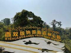-西双版纳原始森林公园