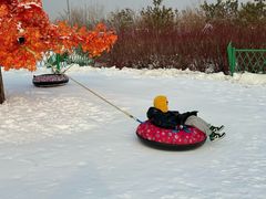 -绿野森林乐园冰雪季