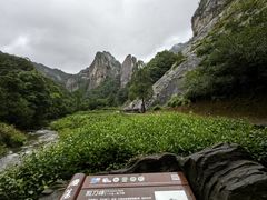 -雁荡山大龙湫景区