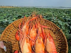 -七的湖·晚芳亭·阳澄湖农家菜·大闸蟹(莲花岛店)
