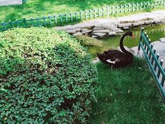 -西安曲江寒窑遗址公园
