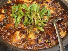 -都江堰石锅鱼
