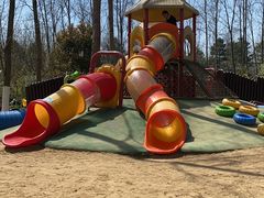 -合肥滨湖国家森林公园