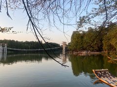-东湖落雁景区