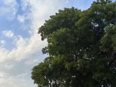 -正定古城-开元寺