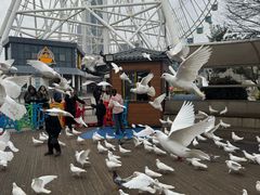 -南昌之星游乐场