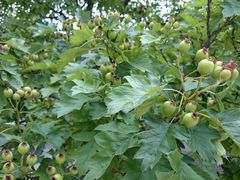 android_upload_pic-齐王寨景区