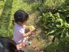 -前小桔亲子创意农场·草莓采摘·露营烧烤