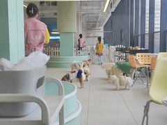 -怪兽屋·羊驼·猫咖·狗咖(俊华广场店)