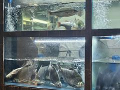 -顺香居·老字号湖北菜(江汉路店)